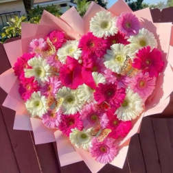 Corazón de llervera