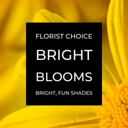 Yellow flower close-up with a florist choice label