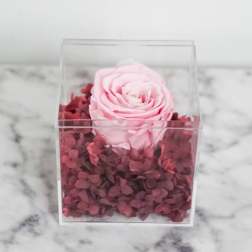 Forever Rose - Pink and Mauve