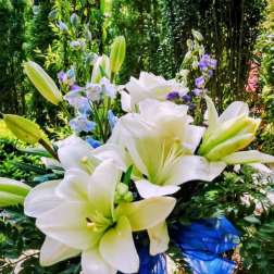 White lilies and blue flowers arranged with a blue ribbon