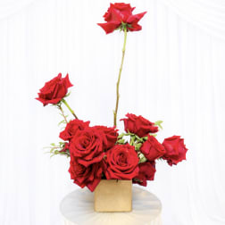 Red roses arranged in a small square vase