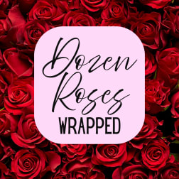 Dozen Roses Wrapped Bouquet