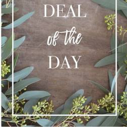 Designer Choice arrangement