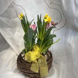 Basket arrangement with yellow daffodils and pink tulips, tied with a yellow ribbon