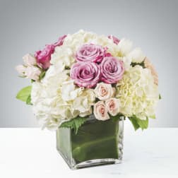 Low arrangement of white hydrangeas and pink roses in a clear square glass vase