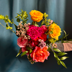 Spring Sunset - Monthly Feature