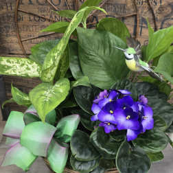 Potted plant arrangement with purple African violets and a decorative bird