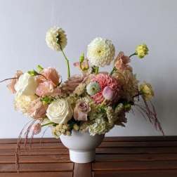 Lush Spring Garden Collection