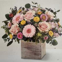 Blooming with Deliight