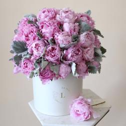 Gorgeous Peonies