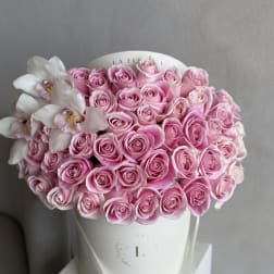 Classic Pink - 50 Roses in a box