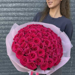 Large bouquet of hot pink roses wrapped in pale pink paper