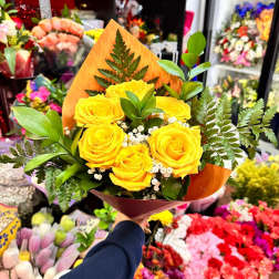 Yellow Half Dozen Daily Special