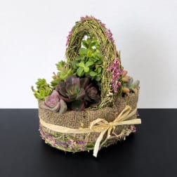 Spring Succulent Basket