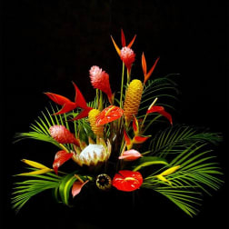 Tropical floral arrangement with red, yellow, and pink blooms against a black background