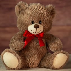 Brown teddy bear with a red ribbon bow