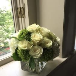 Suzanne Cummings Original 6