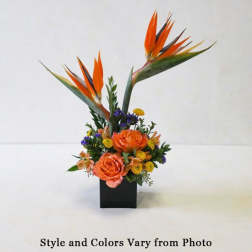 Tropical flower arrangement with orange birds of paradise and roses in a black vase