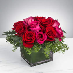 Sparks Fly by BloomNation™