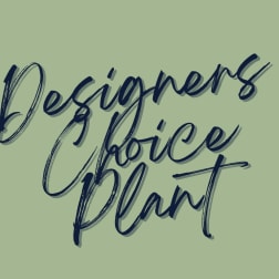 Designers Choice Plant
