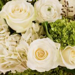 White roses and anemones with green hydrangeas in a close-up bouquet