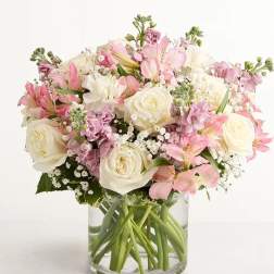 Loving Sentiments Pink & White