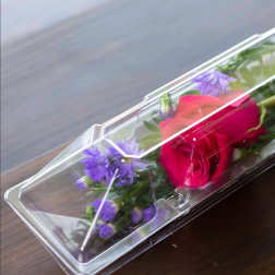 Mini Petal with Fresh