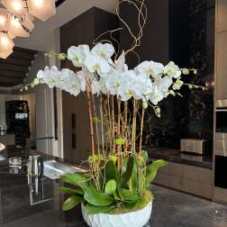 Tall white orchid arrangement in a white bowl-shaped vase