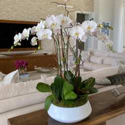 White orchid arrangement in a white bowl planter