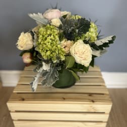 Jessica's summer garden