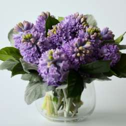 Purple flowers arranged in a clear glass vase