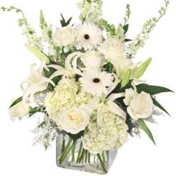 White roses, lilies, gerbera daisies, and hydrangeas in a clear glass vase