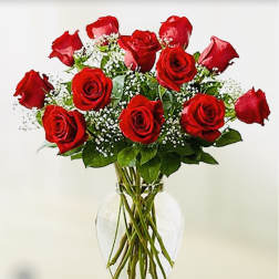 Red roses arranged in a clear glass vase with baby's breath