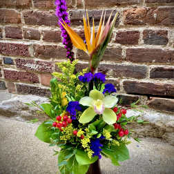 Mother's Sophistication