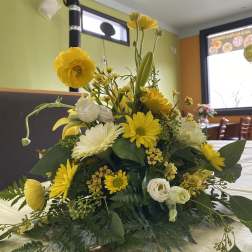 Amarillo y blanco soleado