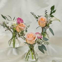 Three small floral arrangements in clear glass vases with peach and pink blooms
