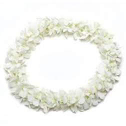 WHITE Carnation Lei