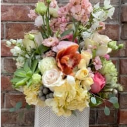 Pastel Garden Roses & Orchid Arrangement – Same Day Delivery San Antonio