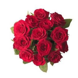 Bouquet of red roses with green foliage