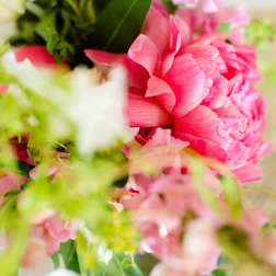 Close-up bouquet with bright pink blooms and white flowers