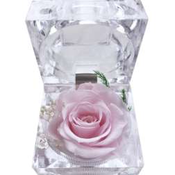 Single pink rose in a clear faceted acrylic holder