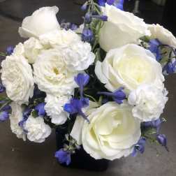 White roses and carnations with blue accents in a black vase