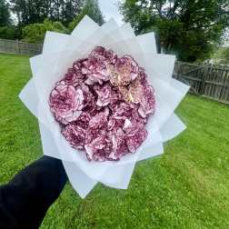 25 Count Carnation Ramos