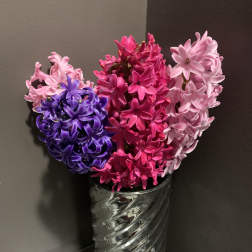 Colorful hyacinths arranged in a tall silver vase