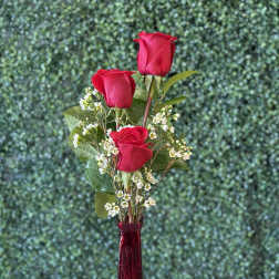 Three red roses in a tall red vase with small white filler flowers