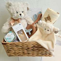 Baby gift basket with teddy bears, blanket, pacifier, and feeding items
