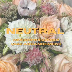 Soft & Neutral Designer’s Choice