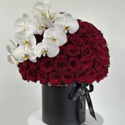 Red roses in a black hatbox with white orchids