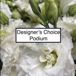 White lisianthus blooms with green buds