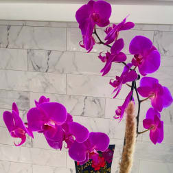 Purple orchid plant in a white pot with a ribbon bow